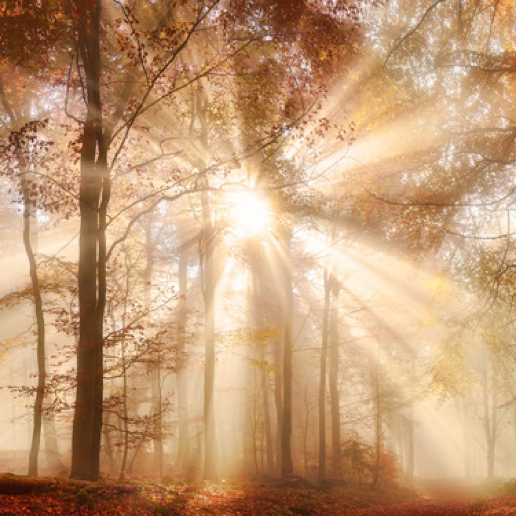 Spirituelles