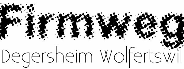 logo-firmweg