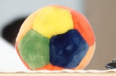 Miniverabschiedung und Neuaufnahme – am 26. Oktober 2025 in Flawil